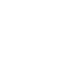 Standards Icon
